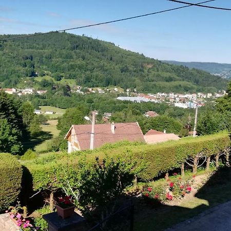 Gite De Bellevue Maison Traditionnelle Vosgienne Plainfaing Εξωτερικό φωτογραφία